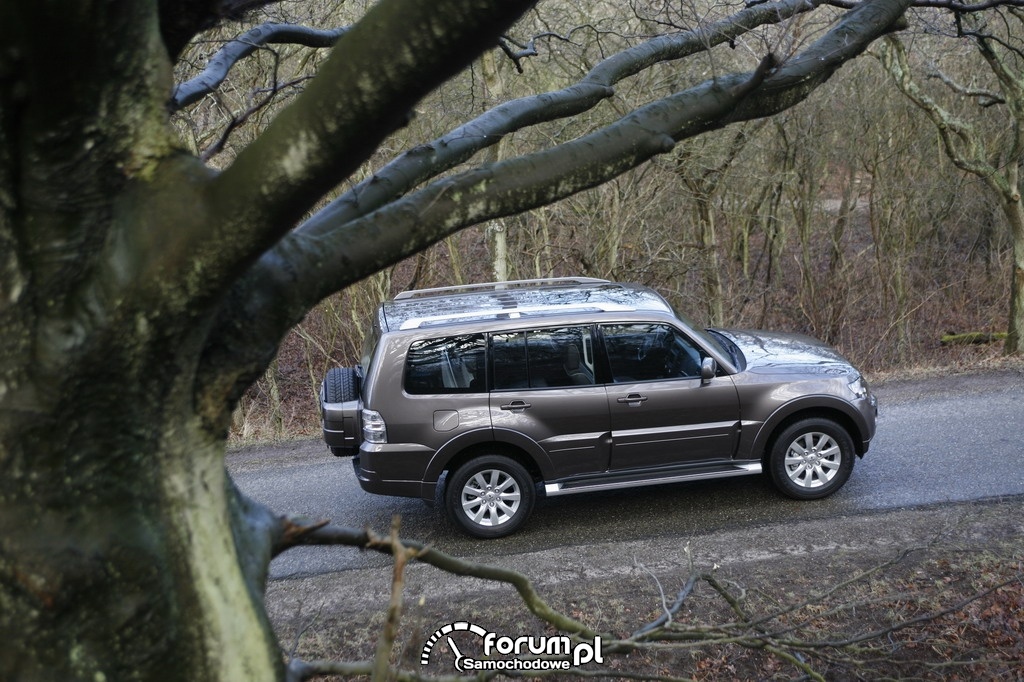 Mitsubishi Pajero IV, bok