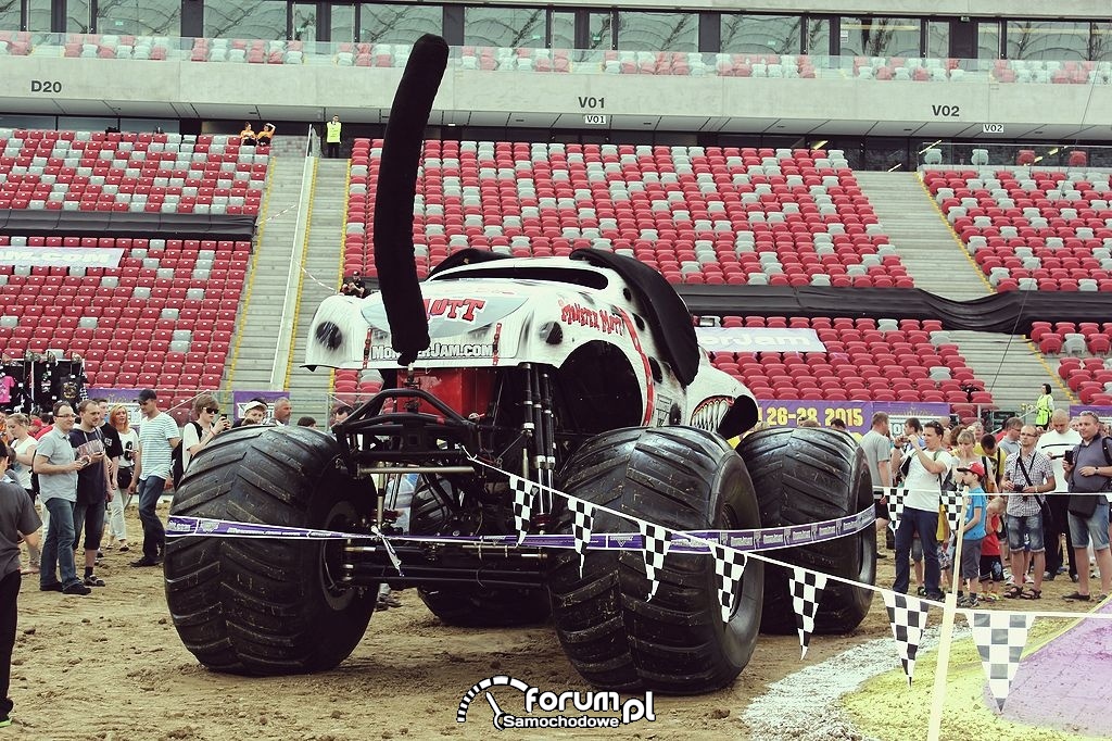 Monster Mutt Dalmatian, tył na Pit Party