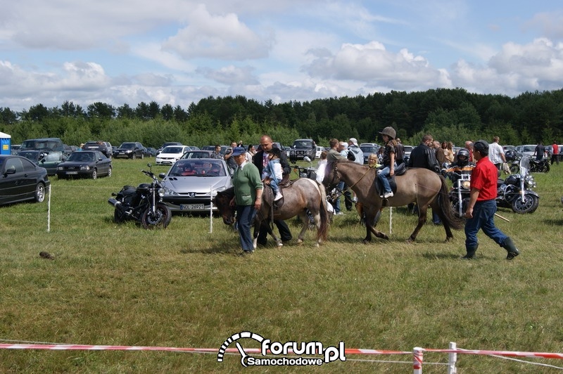 Lotnisko Dajtki - Piknik