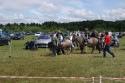 Lotnisko Dajtki - Piknik