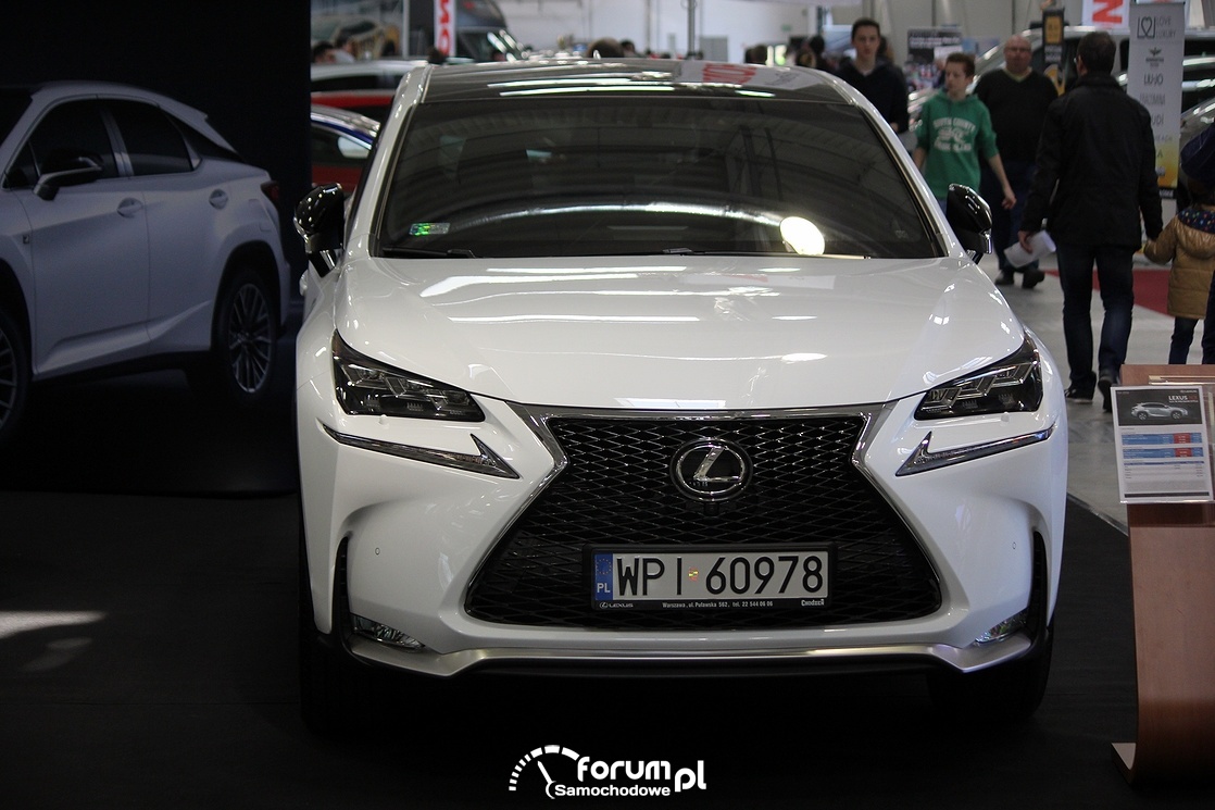 Lexus RX, przód