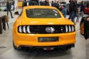 Ford Mustang GT, tył