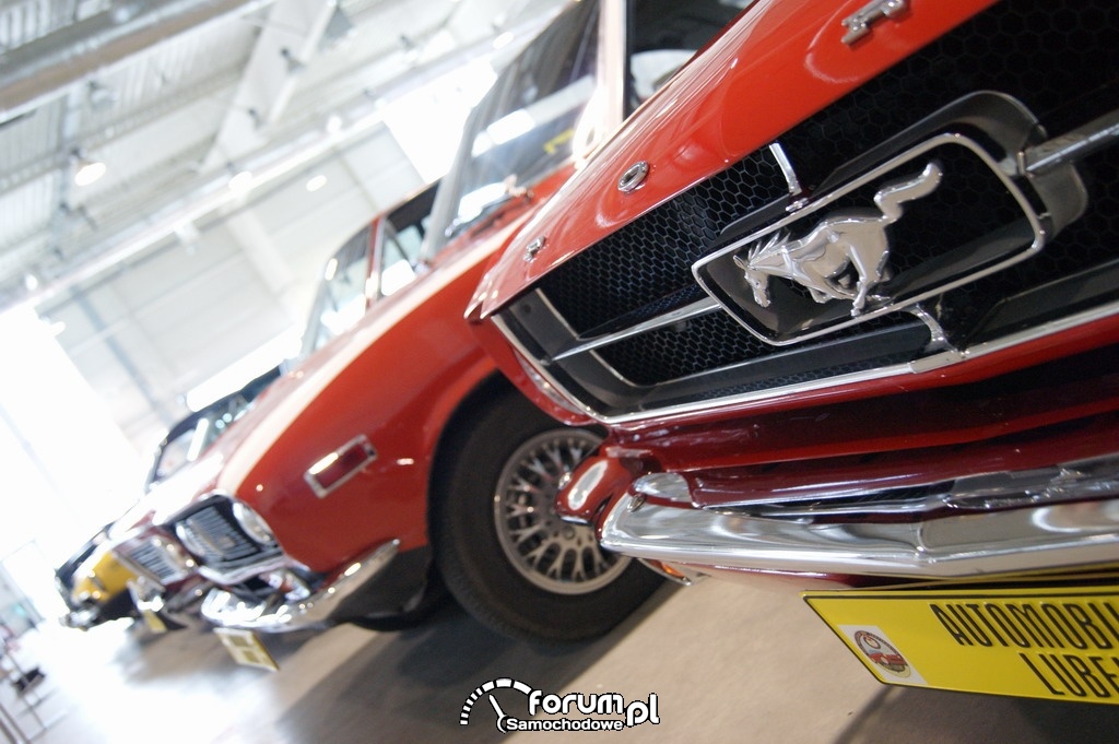 Ford Mustang, 1965 rok, logo