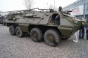 Wojskowa amfibia do transportu ludzi