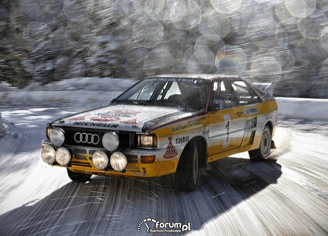 Audi Rallye quattro A2