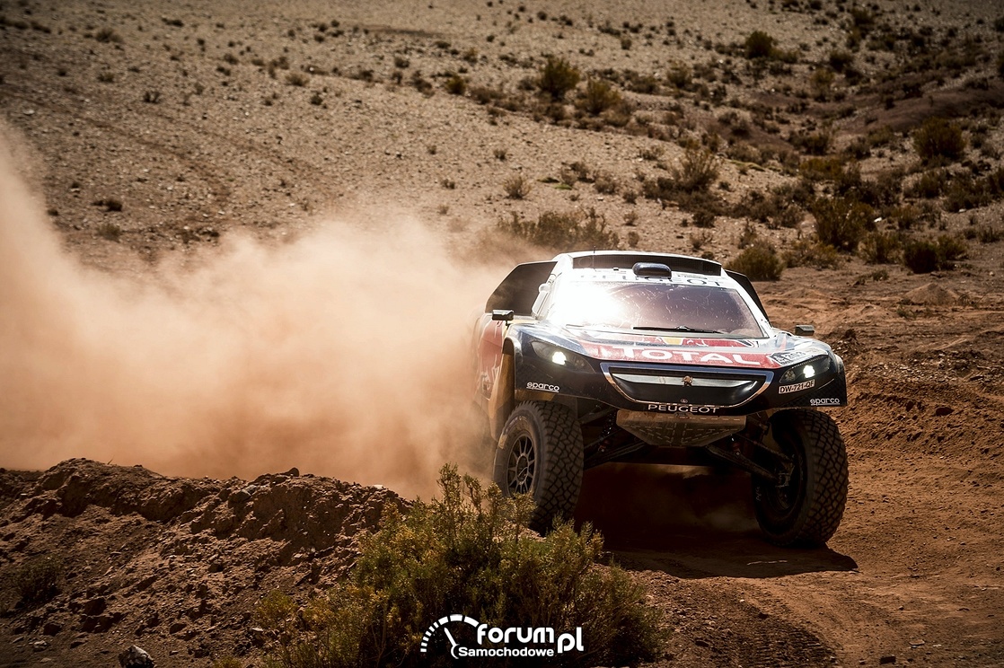 Peugeot 2008 DKR, Rajd Dakar 2016