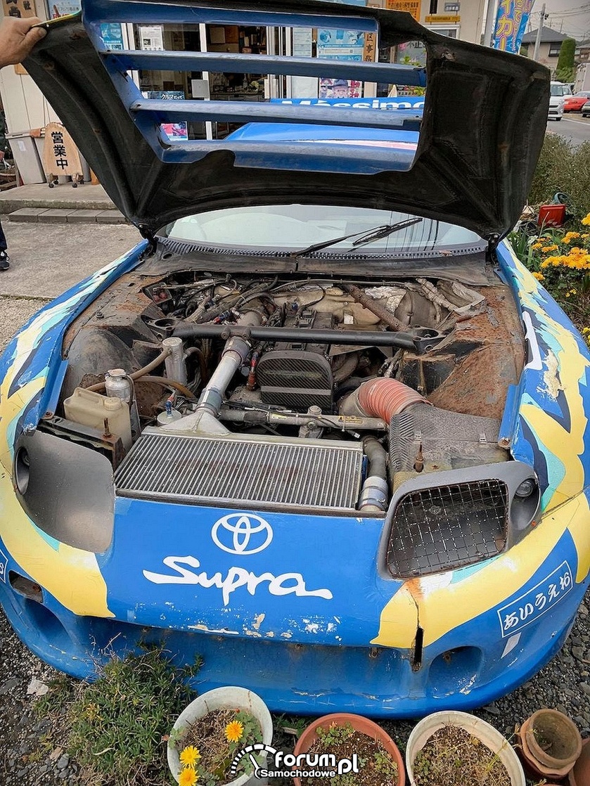 Spokojna emerytura sportowych legend Toyoty