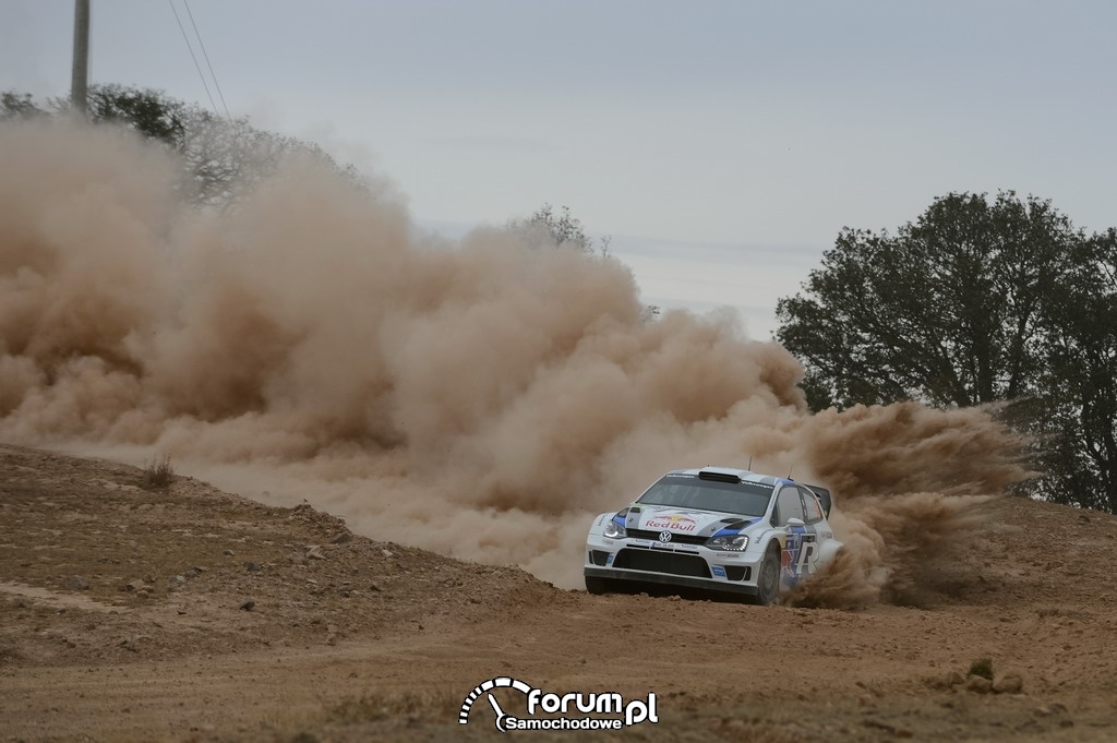 Volkswagen Polo R WRC, Rajd Meksyku, 2