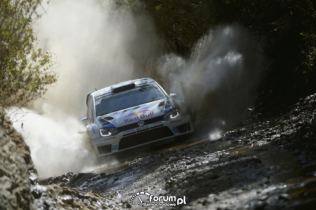 Volkswagen Polo R WRC, Rajd Meksyku 2014