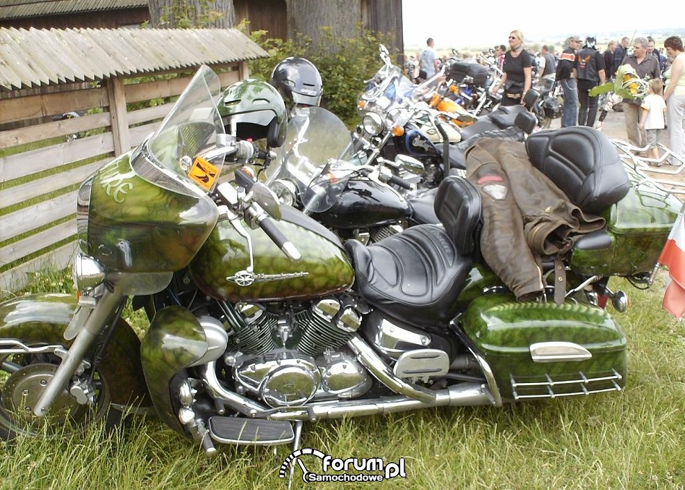 obraz1055jp0