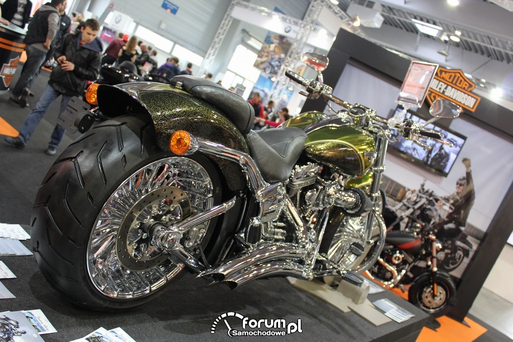 Harley Davidson zdjęcie Motor Show 2014