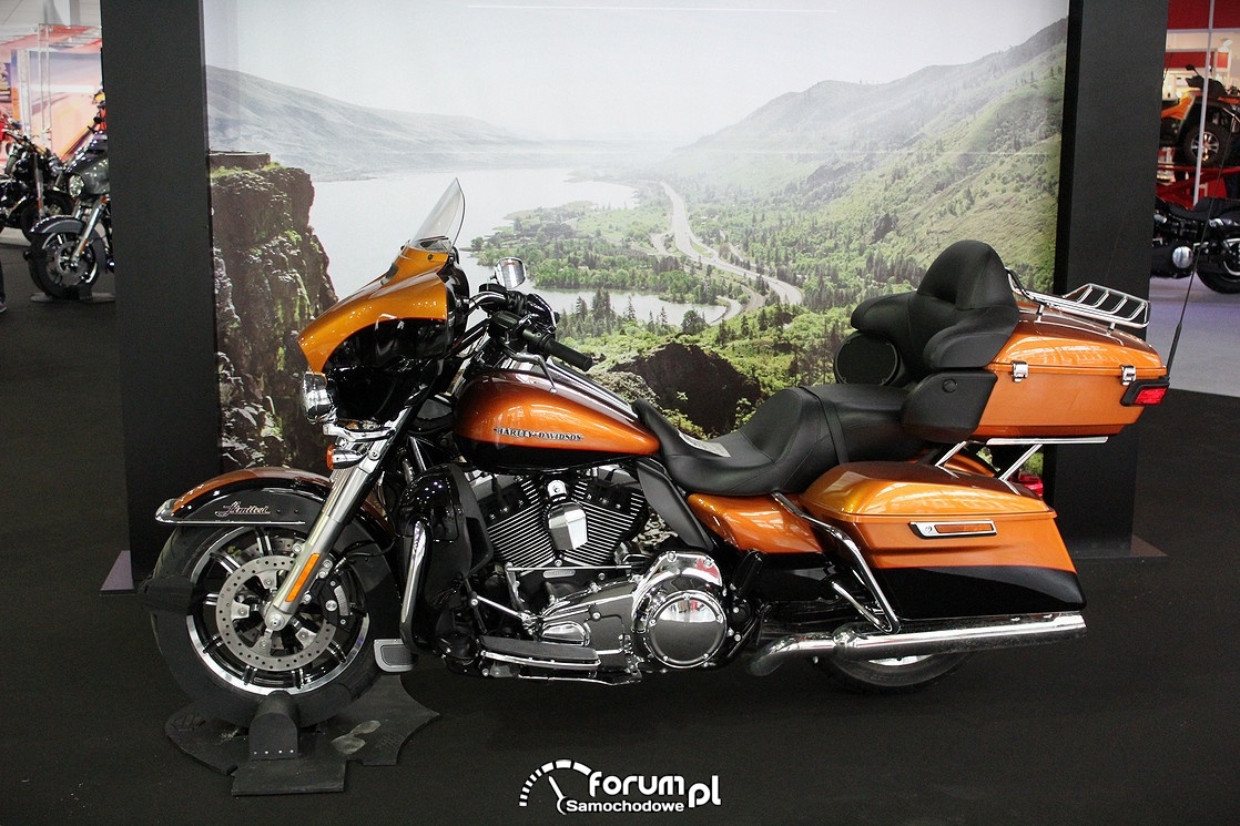 Harley Davidson Limited
