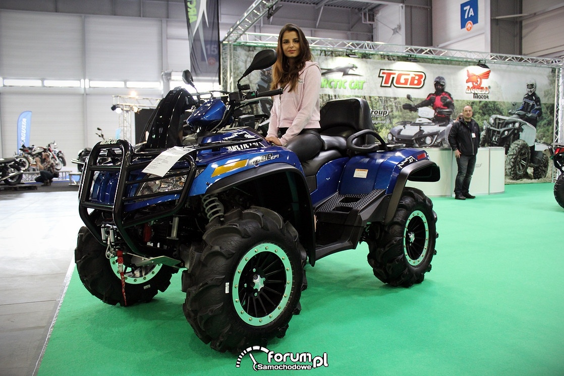 Quad, Arctic CAT