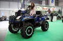 Quad, Arctic CAT