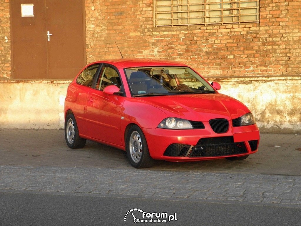 Seat Ibiza - 260 KM, 435 NM