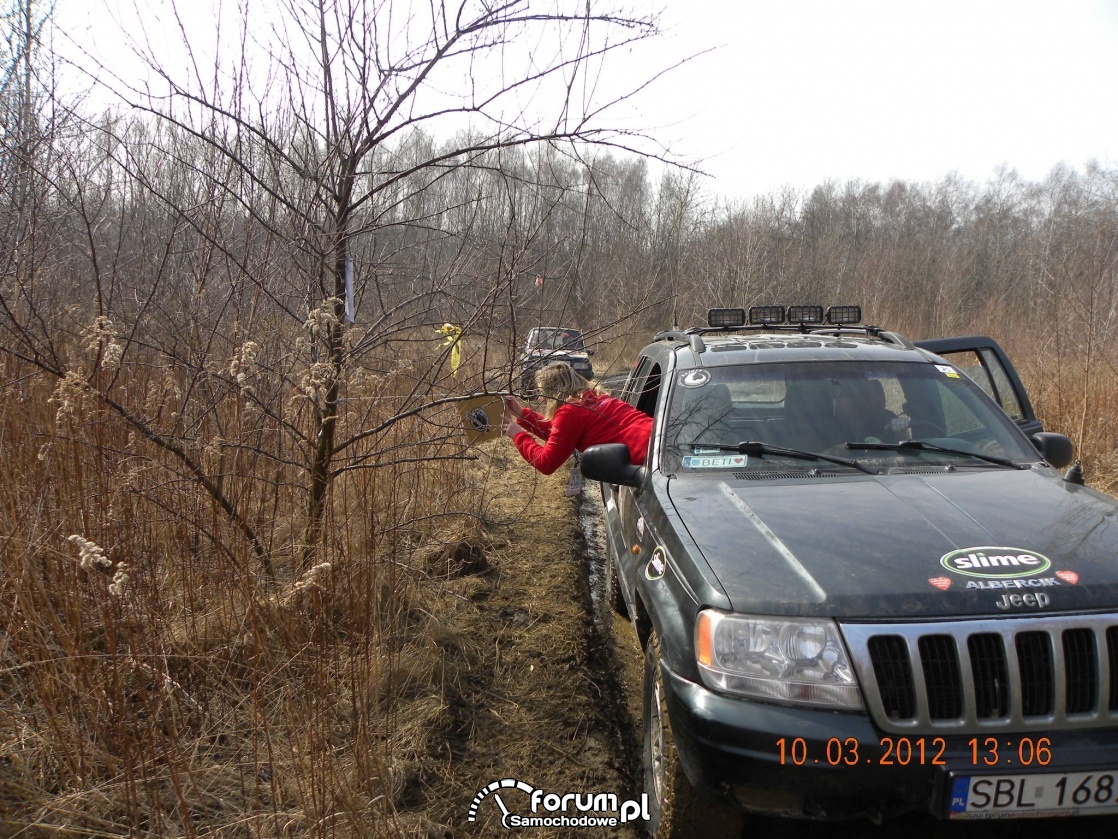 Offrołdowy dzień kobiet