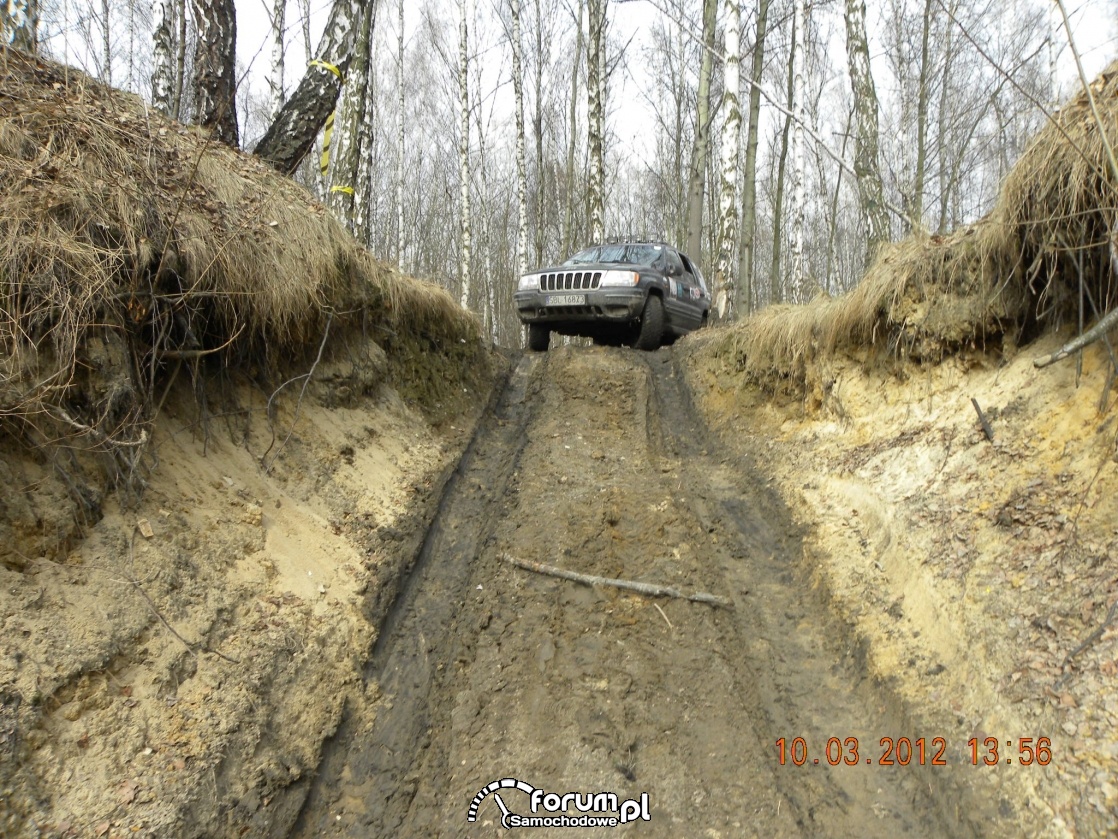 Offrołdowy dzień kobiet