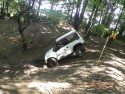 Suzuki Vitara w terenie leśnym
