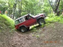 Toyota Land Cruiser w leśnym off-roadzie