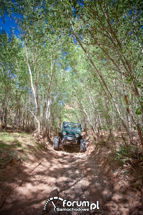 Wyprawa do Moab 2012, 28