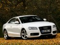 Audi A5 "Wanted"
