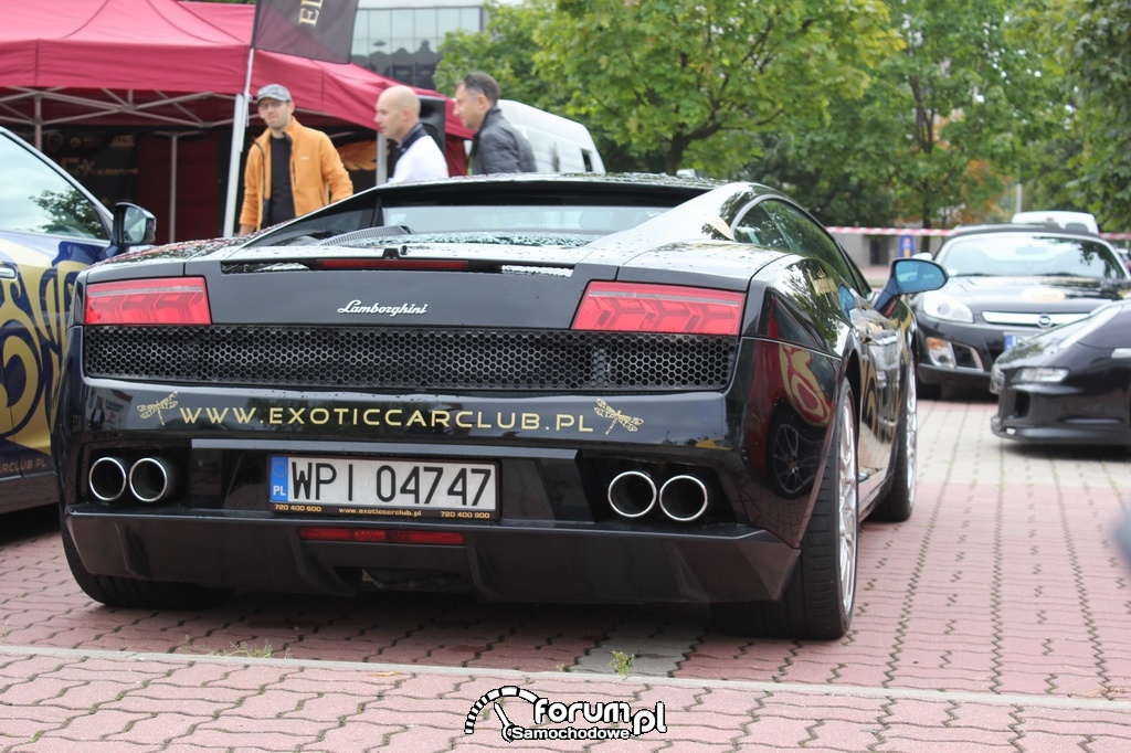Lamborghini Gallardo, tył, exoticcar