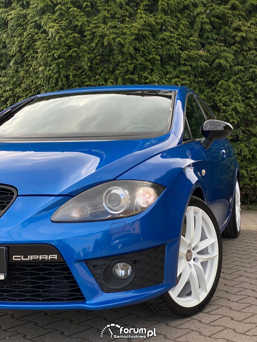Używany Seat Leon 1P Cupra R 2011r 2.0 16v TSI