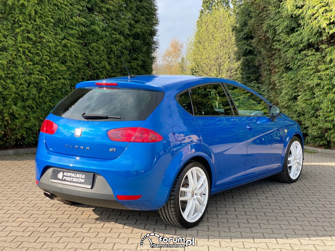 Używany Seat Leon 1P Cupra R 2011r 2.0 16v TSI