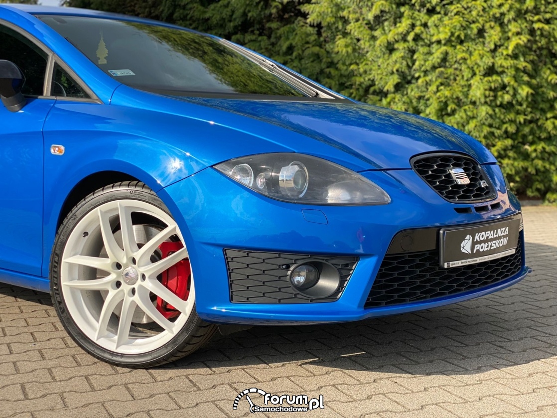 Używany Seat Leon 1P Cupra R 2011r 2.0 16v TSI