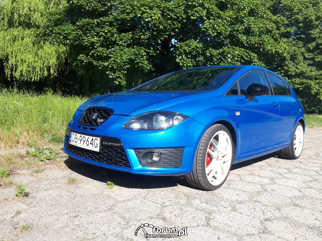 Używany Seat Leon 1P Cupra R 2011r 2.0 16v TSI