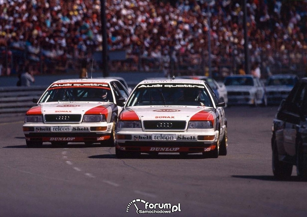 Audi V8 pierwszej generacji, sport