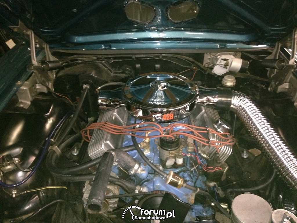 Ford Galaxie 500, silnik