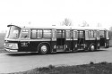 Neoplan NH 11 TR, wykorzystywany do transportu ludzi na lotnisku
