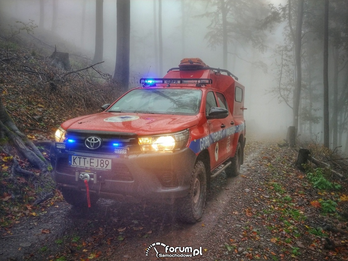 Toyota Hilux w służbie GOPR, las, mgła