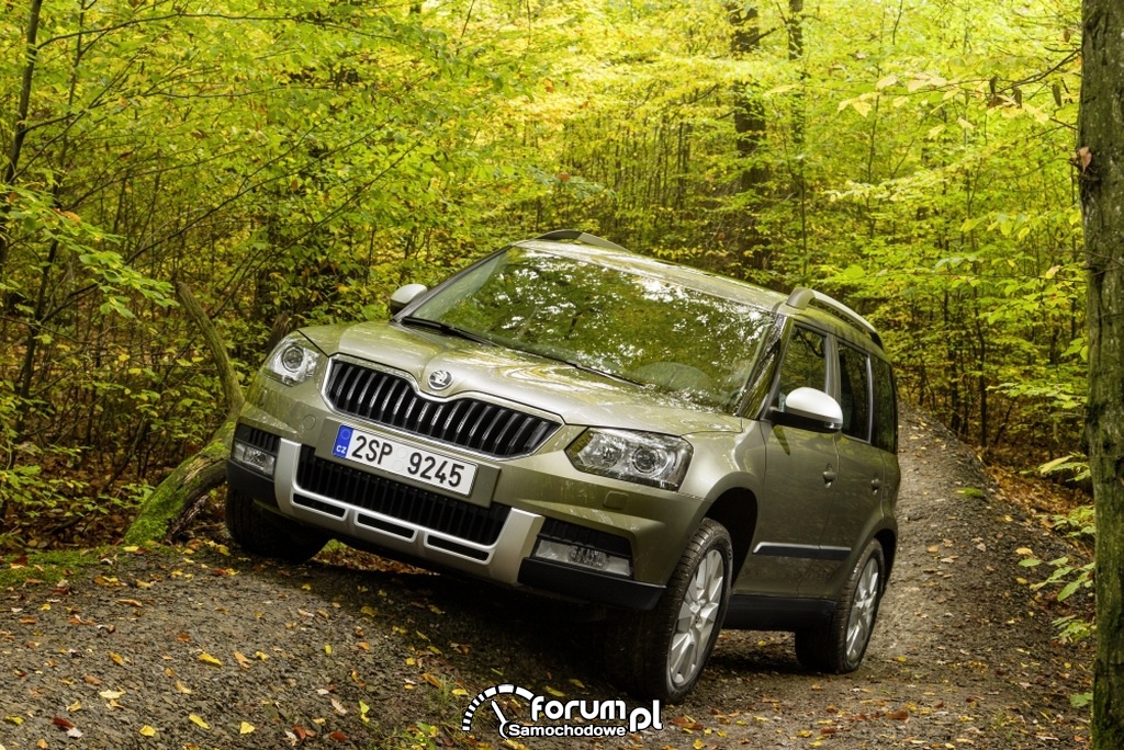 Skoda Yeti 4x4, jazda w terenie po lesie