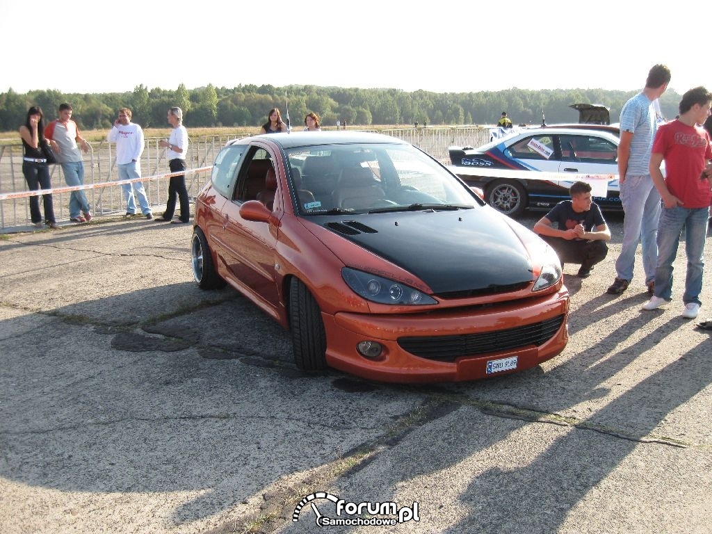 Summer Cars Party 2009