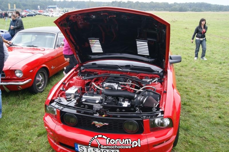 Summer Cars Party 2010