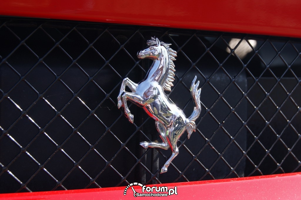 Logo - Ferrari na grilu