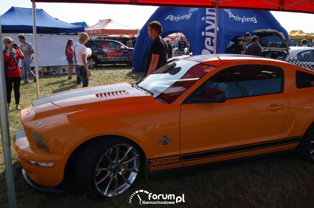 Mustang Shelby - GT500KR