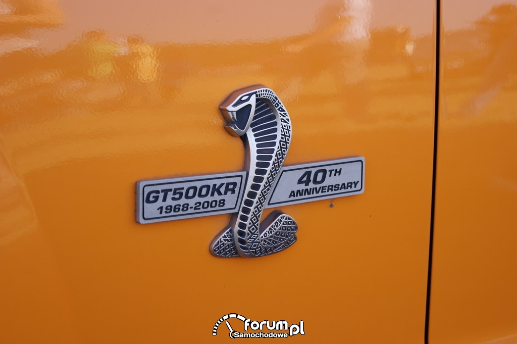 Mustang Shelby - GT500KR