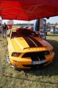 Mustang Shelby