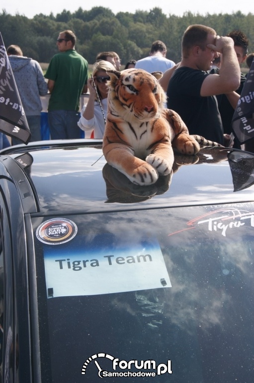 Tigra Team