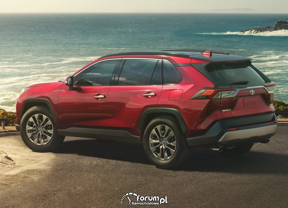 [2018] Toyota RAV-4