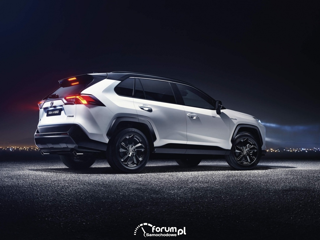 [2018] Toyota RAV-4