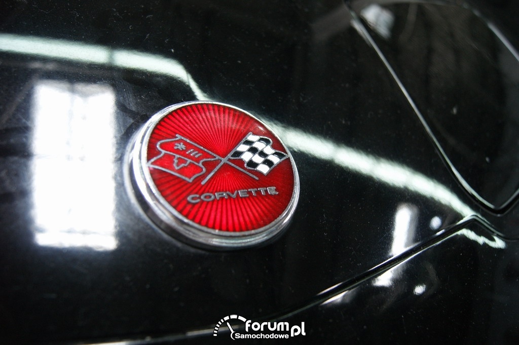Corvette Sting-ray, logo, 1977 rok