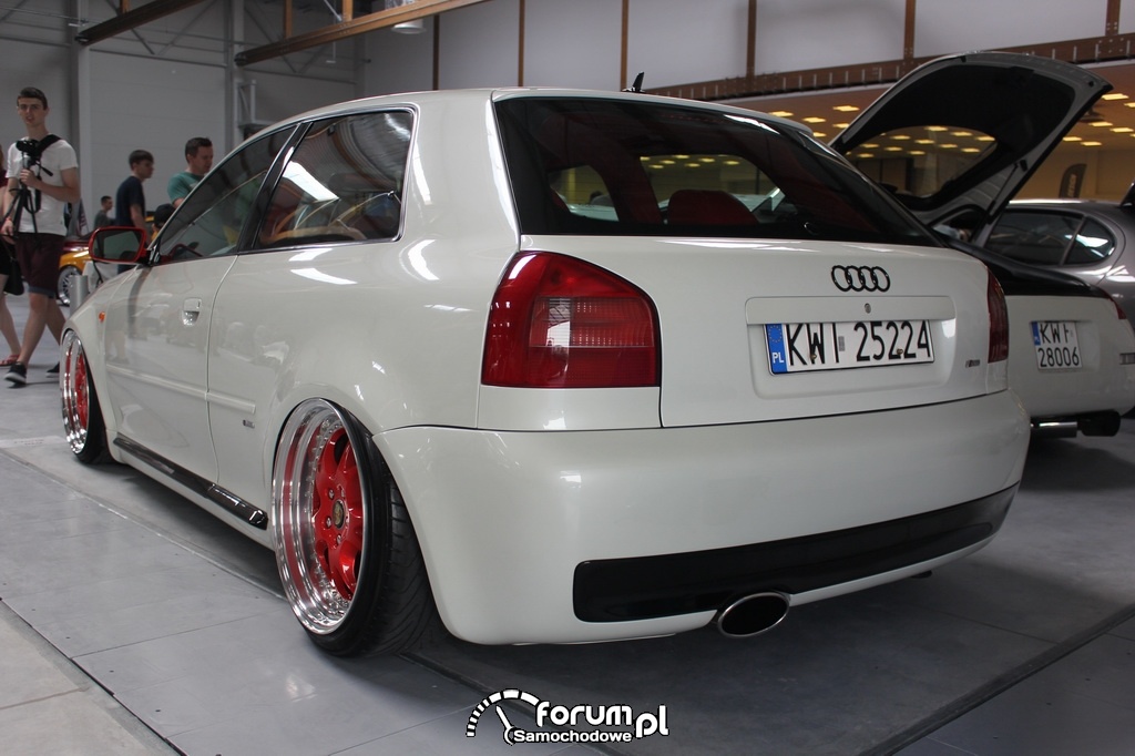 Audi A3, biało czerwony, tył