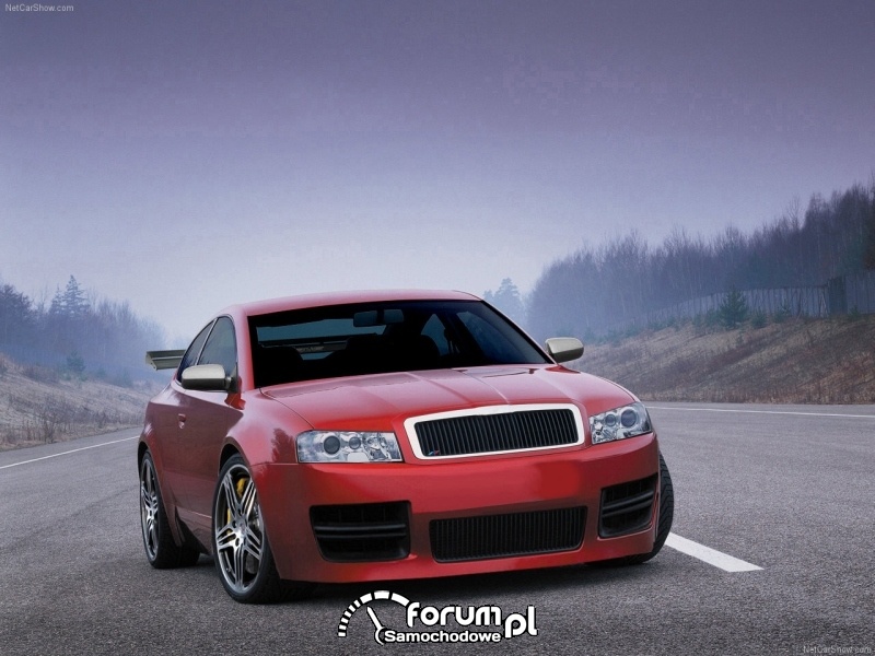 Skoda Concept