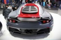 Arrinera Hussarya, tył