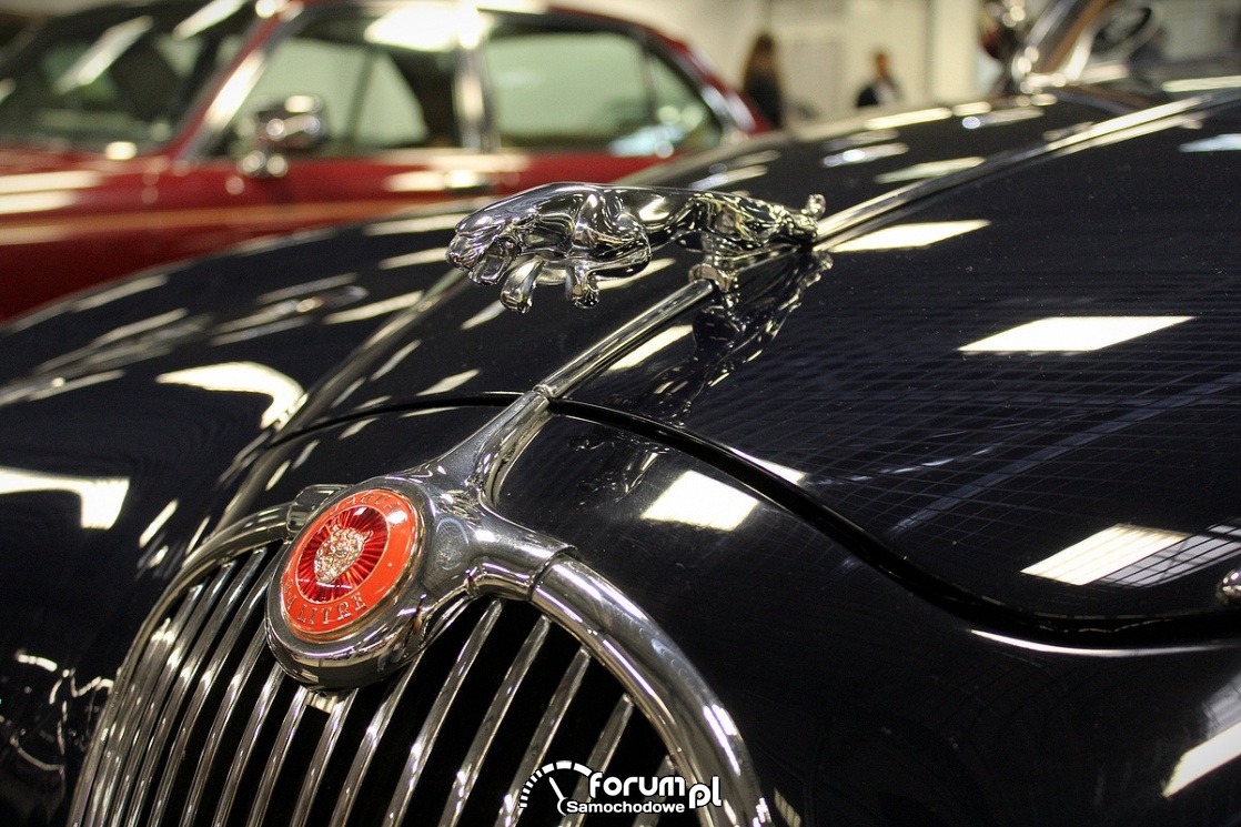 Jaguar MKI 1959 rok 3,4L 210KM, figurka na masce