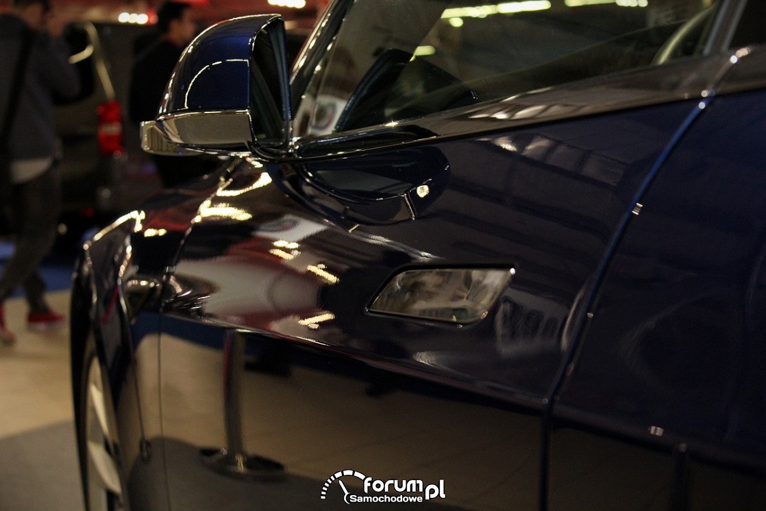 Tesla Model S, dotykowe klamki